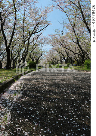 愛知県　名古屋　平和公園 49779426