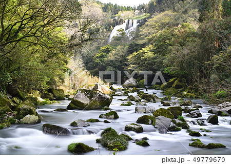 雄川の滝 49779670