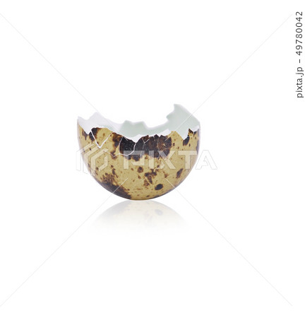 Quail eggs on white background 49780042