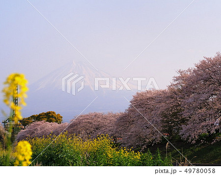 春霞の龍厳淵 春霞の龍厳淵 49780058