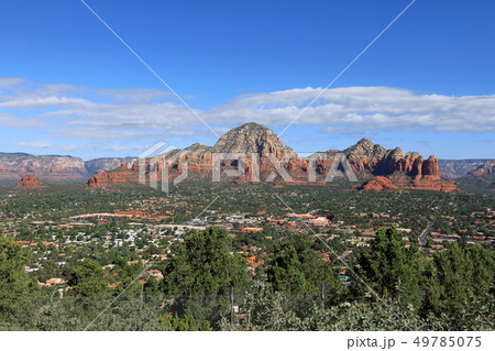 ビッグサンダーＭt 49785075