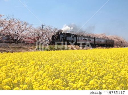 真岡鉄道　C11　325 49785117