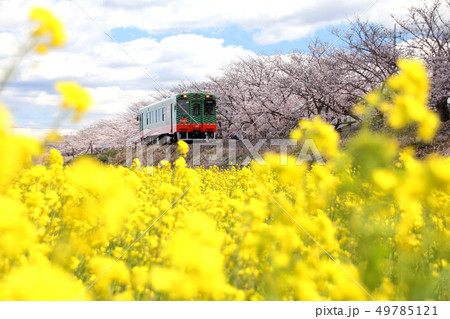 真岡鉄道 49785121