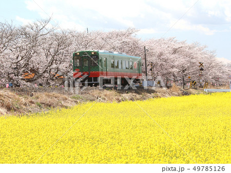 真岡鉄道 真岡鉄道 49785126