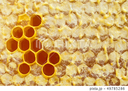 Honeycomb. Macro photo of honey cells filled with Honeycomb. Macro photo of honey cells filled with 49785286