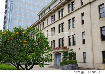 静岡県庁本館 静岡県庁本館 49785318