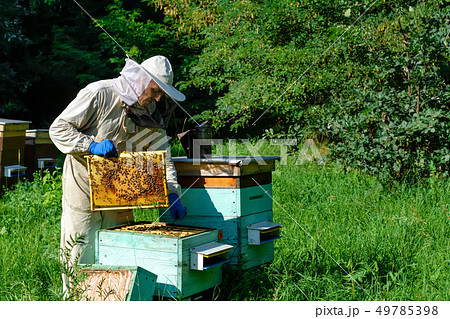 A young man beekeeper works on a beehive near the 49785398