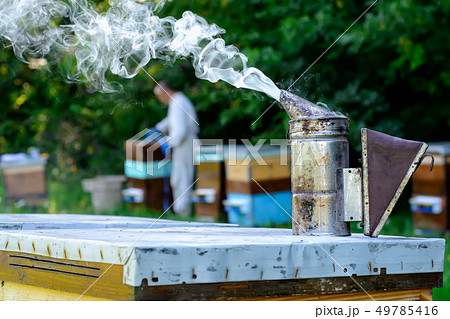 The beekeeper works on a beehive near the hives. The beekeeper works on a beehive near the hives. 49785416