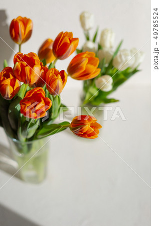 Two vases with spring orange and white tulips 49785524