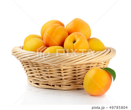 Fresh apricots in the basket are isolated on a 49785804