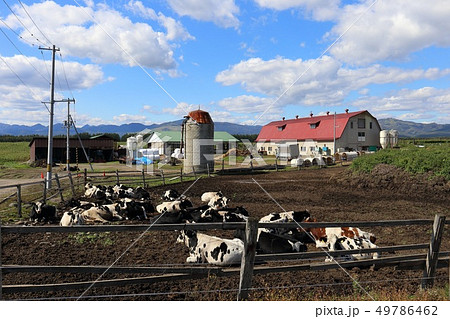 北海道　十勝地方　牧場のある風景 49786462