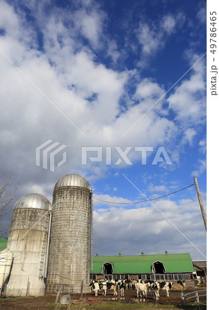 北海道 十勝地方 牧場のある風景 北海道 十勝地方 牧場のある風景 49786465