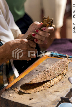Woman making cigar - Trinidad - Cuba 49787811