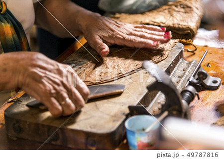 Woman making cigar - Trinidad - Cuba Woman making cigar - Trinidad - Cuba 49787816