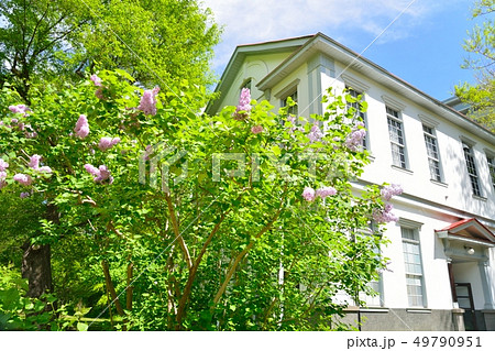 宮部金吾記念館とライラック 49790951