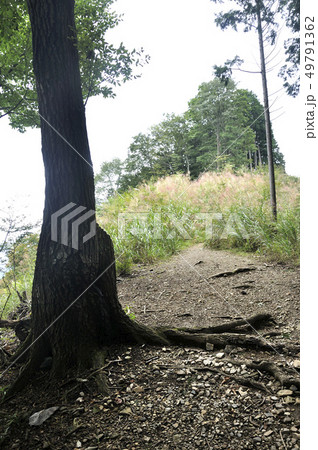 奥武蔵 棒ノ折山の白地平 49791362