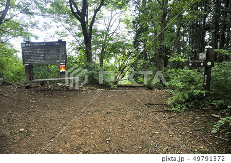 奥武蔵 棒ノ折山の権次入峠 関東ふれあいの道 49791372
