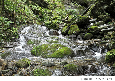 棒ノ折山 白谷沢の渓流 49791374