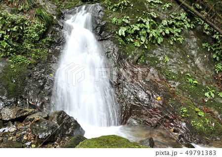 棒ノ折山 白谷沢の渓流 棒ノ折山 白谷沢の渓流 49791383