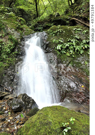棒ノ折山 白谷沢の渓流 49791384