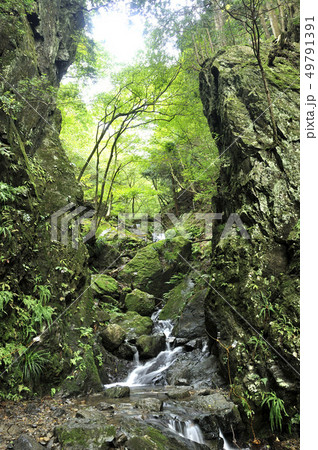 棒ノ折山 白谷沢のゴルジュ 49791391