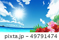 リゾート地 49791474