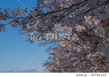 赤城山 49792103