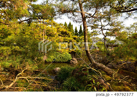 冬の好古園庭園 49792377