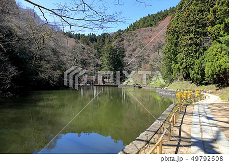 善寳寺 人面魚の住む貝喰の池 善寳寺 人面魚の住む貝喰の池 49792608