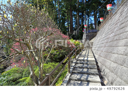 善寳寺 善寳寺 49792626