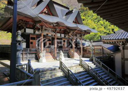 善寳寺 龍王殿 善寳寺 龍王殿 49792637