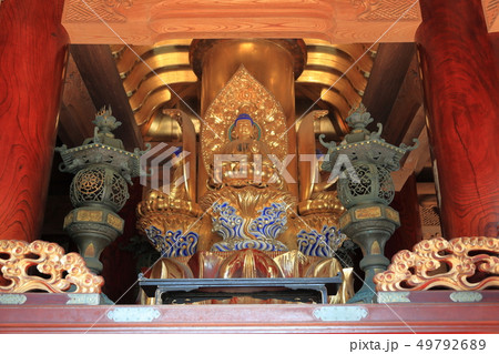善寳寺　五重塔 49792689