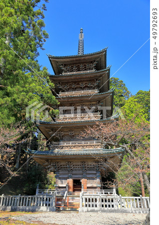善寳寺 五重塔 善寳寺 五重塔 49792693