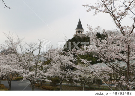 春の桜満開バレンタインパーク作東 49793498