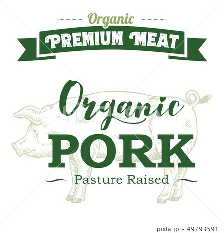 Hand drawn pig label with text organic pork 49793591