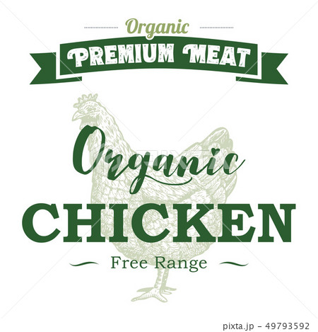 Hand drawn chicken label with text organic chicken 49793592