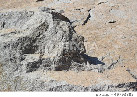 荒い岩肌 49793885