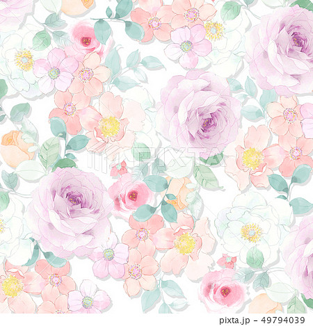 透明水彩 水彩画 花 49794039