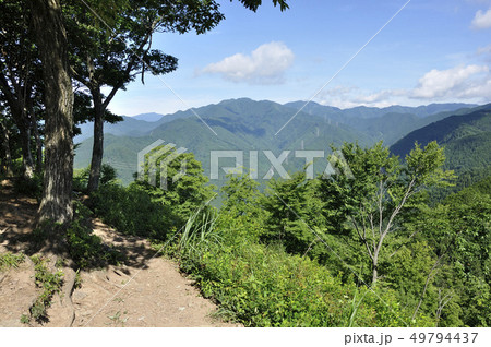 岩茸石山の山頂より望む川苔山 49794437