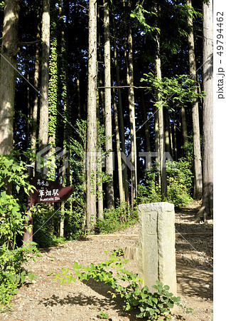 高水山の石標 高水山の石標 49794462
