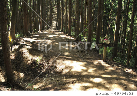 奥多摩三山 惣岳山の道 奥多摩三山 惣岳山の道 49794553