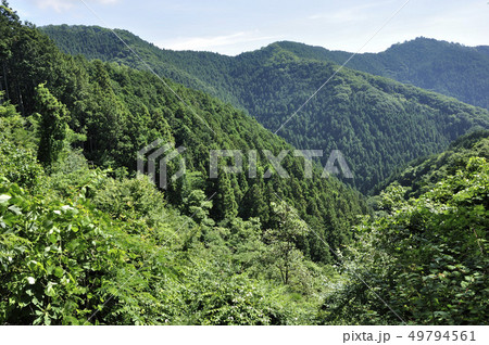 夏の奥多摩 馬仏山から岩茸石山と高水山 夏の奥多摩 馬仏山から岩茸石山と高水山 49794561
