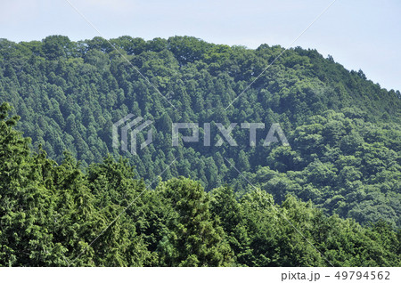 奥多摩 馬仏山より岩茸石山 奥多摩 馬仏山より岩茸石山 49794562
