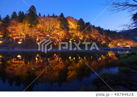 愛知県豊田市香嵐渓の紅葉ライトアップ 愛知県豊田市香嵐渓の紅葉ライトアップ 49794628