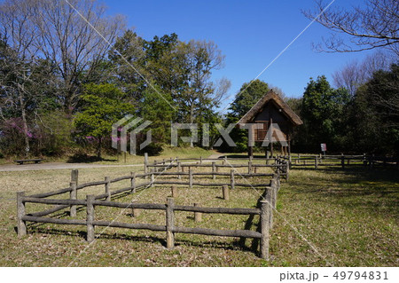 岡山県津山市にある弥生時代の遺跡:沼弥生住居址 岡山県津山市にある弥生時代の遺跡:沼弥生住居址 49794831