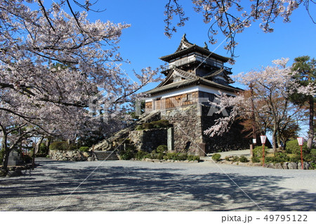 丸岡城 丸岡城 49795122
