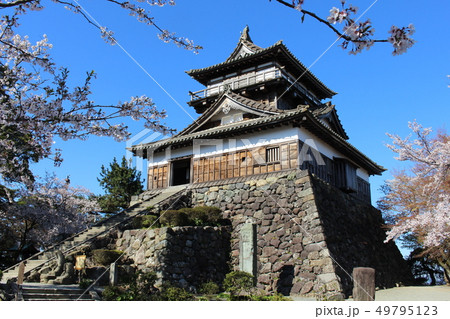 丸岡城 丸岡城 49795123