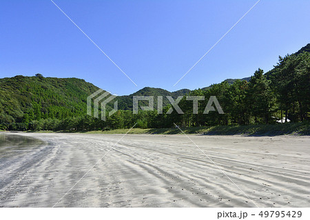 大分 大分 49795429