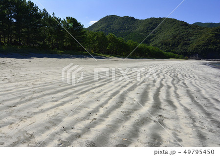 大分 大分 49795450