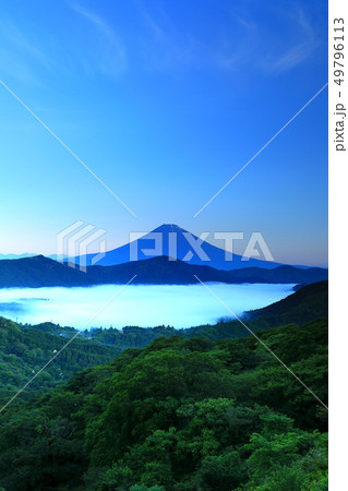 世界遺産　富士山　大観山　芦ノ湖　雲海 49796113